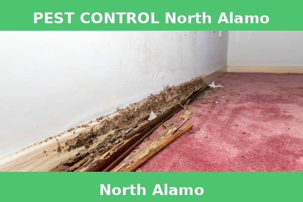 PEST CONTROL North Alamo